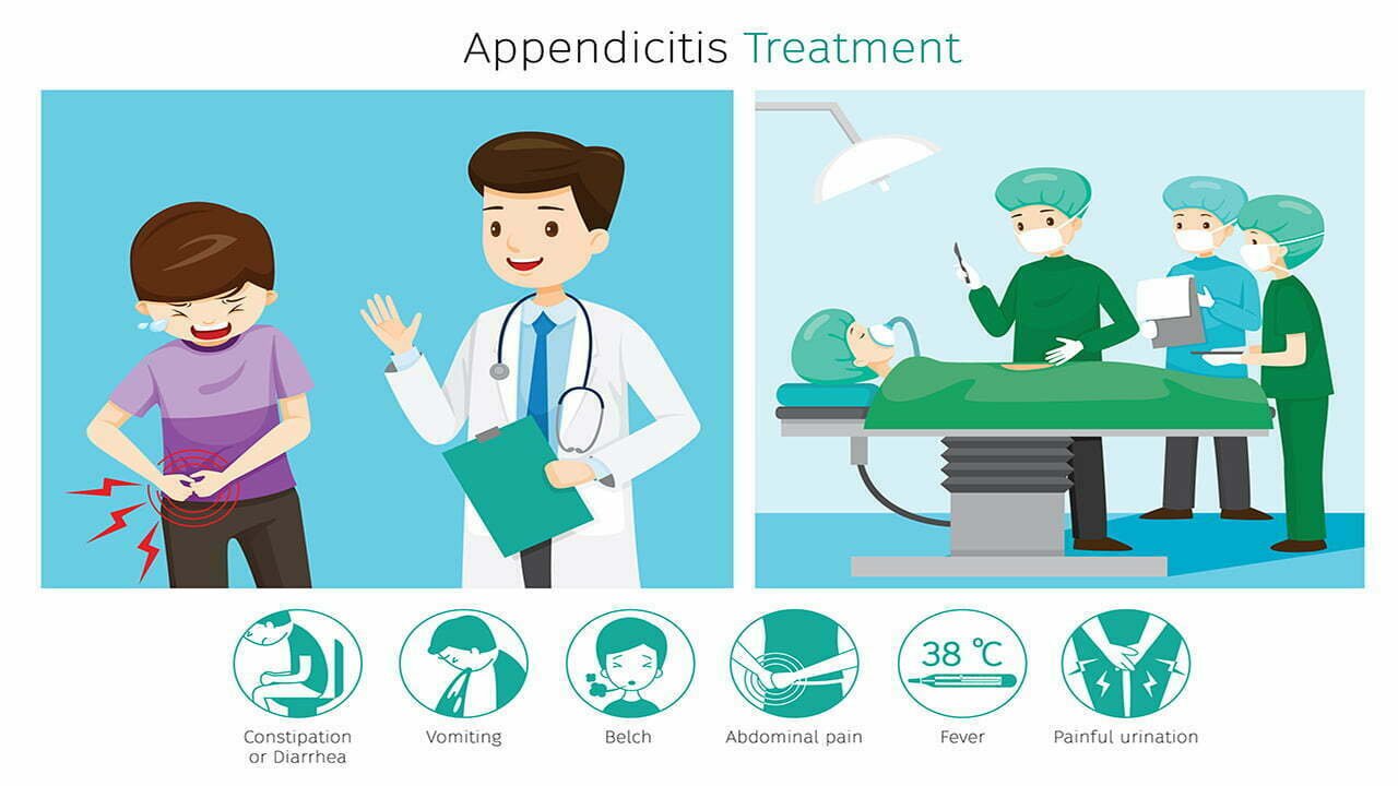 what is appendix